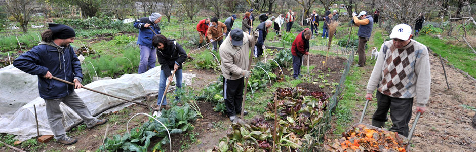 Dal 2003 i volontari del Giardino degli Aromi svolgono attività a diretto contatto con la natura per promuovere il benessere personale e favorire il reinserimento sociale di persone che attraversano momenti di difficoltà.
